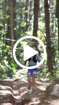 BIB:  <button type="button" onclick="openModal(26569309)" class="btn btn-primary btn-sm float-right" data-toggle="modal" data-target=".modal-high-quality">
                <i class="fa fa-download"></i> Download
                </button>